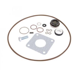 15999V, SEAL & O-RING KIT, VITON 222 SERIES CAST IRON