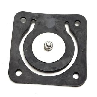 17016, INLET FLANGE CHECK VALVE/GASKET 2" CAST IRON PUMP