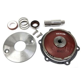 17100, REPAIR KIT FOR 2" STANDARD CAST IRON PUMP