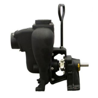 200PBI, 2" CAST IRON PEDESTAL TRANSFER PUMP WITH 3/4" SHAFT