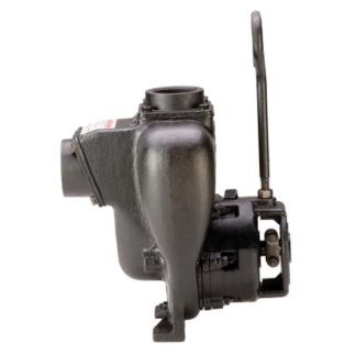 201POIW, 2" CAST IRON WET SEAL TRANSFER PUMP KIT FOR ENGINE