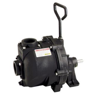 222PBI, 222 SERIES CAST IRON PEDESTAL TRANSFER PUMP WITH 3/4 SHAFT
