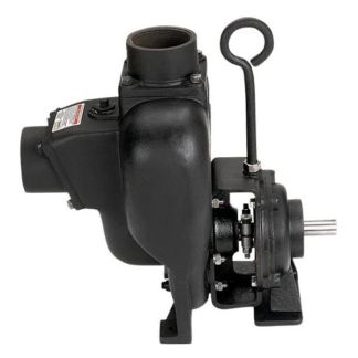 300PBI, 3" CAST IRON PEDESTAL TRANSFER PUMP WITH 1" SHAFT