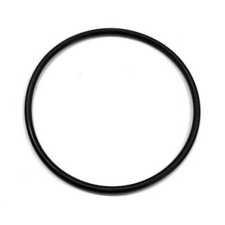 LS200G, EPDM O-RING FOR OLD MODEL LS200 Y-STRAINER BOWL