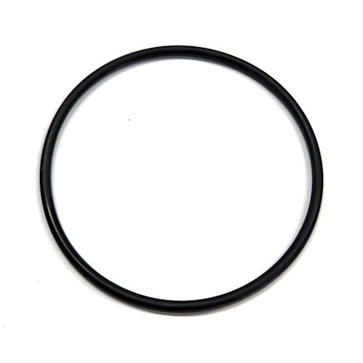 LS200G, EPDM O-RING FOR OLD MODEL LS200 Y-STRAINER BOWL