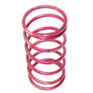 CP25831-302SS, SPRING