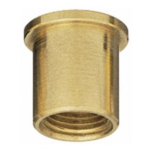 CP6250, 1/8" FPT NOZZLE ADAPTER, BRASS (FITS INSIDE ROUND CAP)