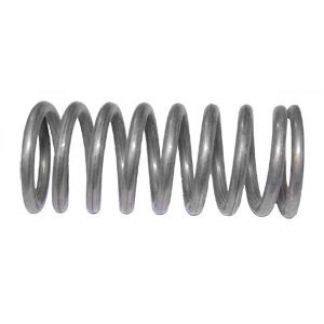 CP6959-SS, VALVE SPRING (17 TEEVALVE)