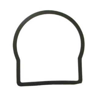 CP6975-BU, BODY GASKET (17 TEEVALVE)