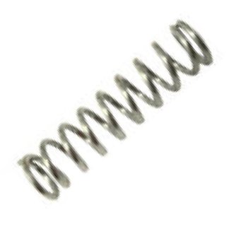 CP8428-SS, VALVE SPRING (3A & 3B VALVE)
