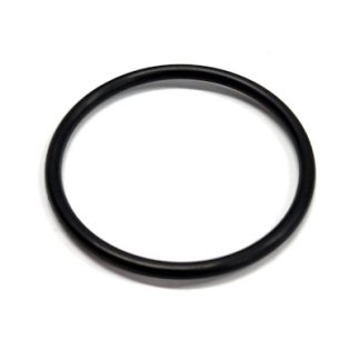 LST100-G, EPDM O-RING FOR LST075 & LST100 T-STRAINER BOWL