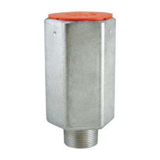 110795 / A1310A, RELIEF VALVE 250 PSI 1-1/4" MNPT
