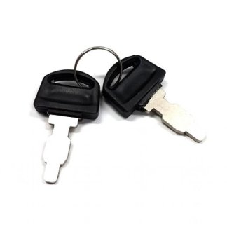 1610-0077, ELECTRIC START KEYS (PAIR), POWER-PRO