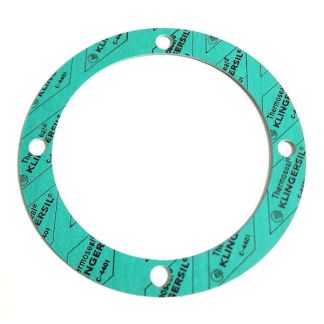 31040, VOLUTE GASKET, GE-100, ACH-55