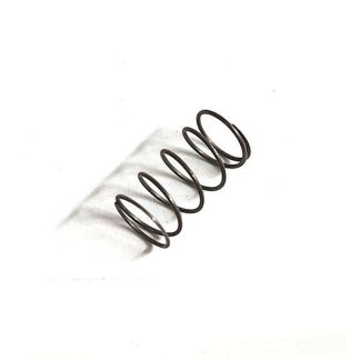 41780, SPRING FOR REVERSE FLOW CHECK VALVE (200 SERIES MOTOR)