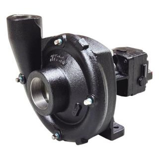 9306C-HM5C-B, 2" X 1-1/2" LIFEGUARD CAST PUMP 17 HYD GPM