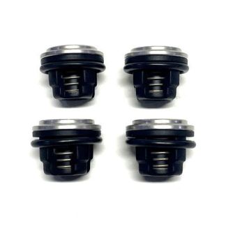 AR1917, CHECK VALVE KIT, AR30/40