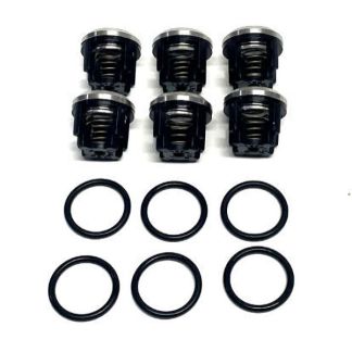 AR2388, CHECK VALVE KIT, AR303/403