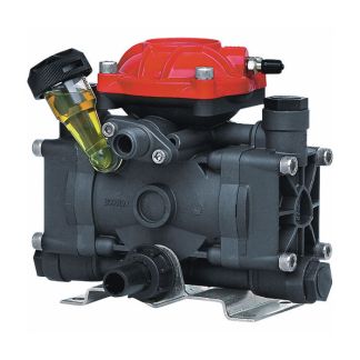 AR252-GR-GCI3/4, D252GRGI, PUMP FOR ENGINE, 6.5 GPM, 360 PSI, 1.4HP, 3/4 X 1/2, 2 PISTON, FITS 3/4 KEYED SHAFT, WITH REGULATOR