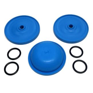 AR43243, DIAPHRAGM KIT, BLUEFLEX, AR70
