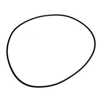 DS-501-002, O-RING