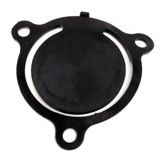 DS-801-015, CHECK VALVE FOR 1573