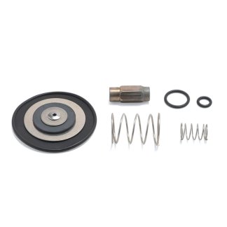 KT.2517, VITON REPAIR KIT FOR 1999A (NEW MODEL) VALVE