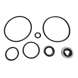RK-BAC-75-HYD, SEAL REPAIR KIT, 200 SERIES MOTORS W/QUAD RING SEALS (PRIOR TO 2000)
