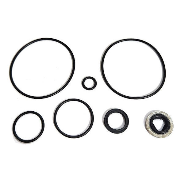 RK-BAC-75-HYD, SEAL REPAIR KIT, 200 SERIES MOTORS W/QUAD RING SEALS (PRIOR TO 2000)