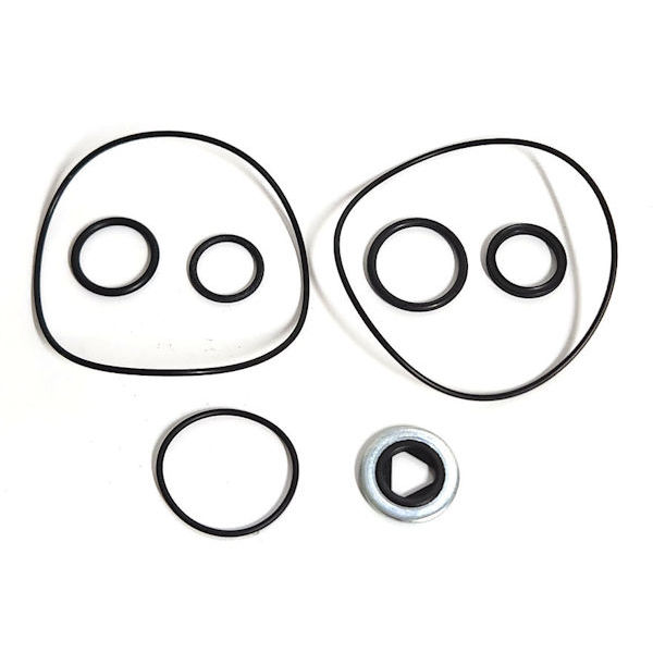 RK-BAC-75-HYD-300, SEAL REPAIR KIT, 300 SERIES MOTORS W/QUAD RING SEALS (PRIOR TO 2000)