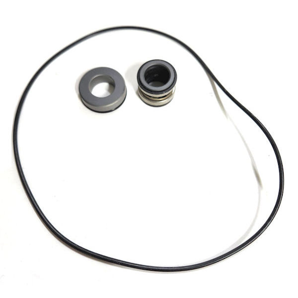 RK-FMCSC-155, SEAL REPAIR KIT, VITON/SILICON CARBIDE, FMCSC-155FS STAINLESS PUMP